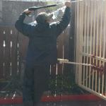 Pressure washing and proper prepping by the painter will insure that your paint job will last for many years to come. 